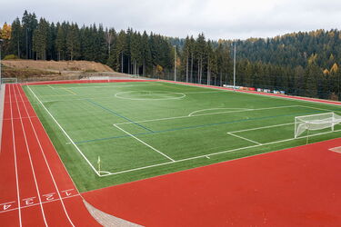 Blick auf den neuen  Kunstrasenplatz mit umlaufender Tartanbahn