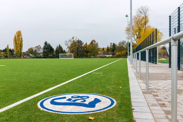 Blick auf Kunststoffrasenplatz mit Vereinsemblem