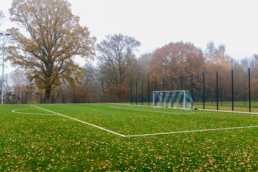 Mit gelbem Laub bedeckter Kunststoffrasenplatz